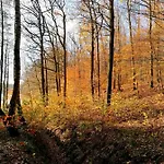 Apartman Pod Debem Bobolice