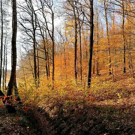 Apartamento Pod Debem Bobolice (Koszalin)