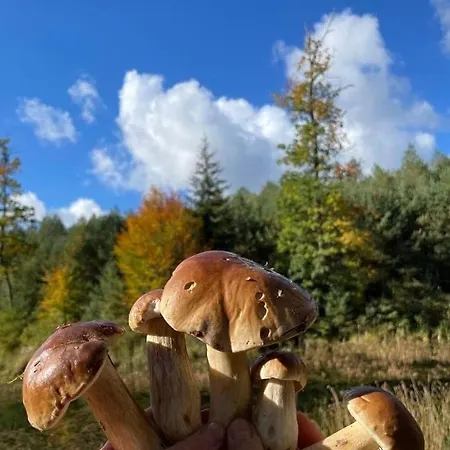 Pod Debem * Bobolice